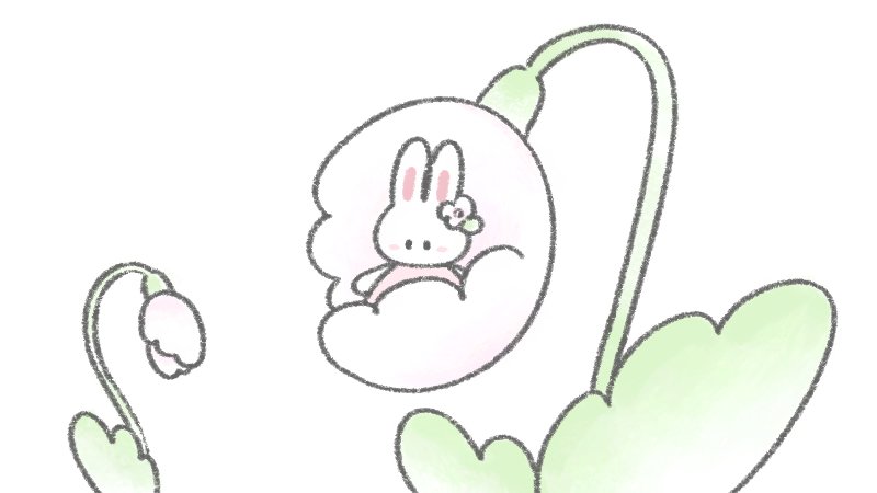 ふんわりうさちゃん tweet media