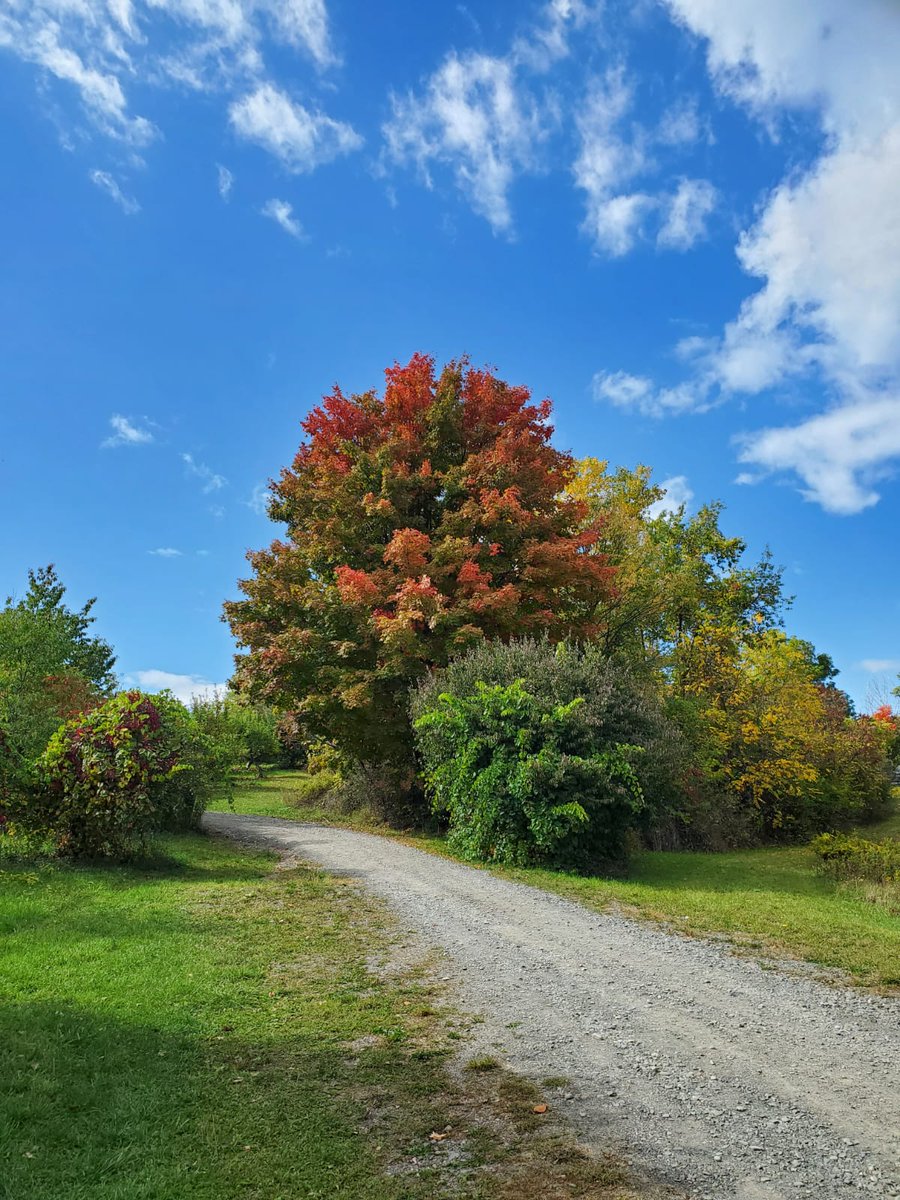 Augusto Santos Rampasso tweet media