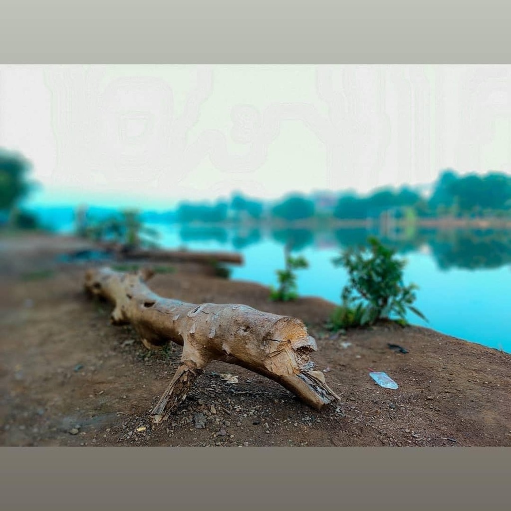 Rullybono's tweet photo. Sleeping Dragon

#nature #naturephotography #wood #dirumahaja #landscape #naturelife #landscapephotography #sunday #morning #morningwalk #tree #treebark  #treesofinstagram #bythesea #capture #amaturephotography #mobilecapture #mobile #mobilephotography #… https://t.co/zP3eJu5tMJ https://t.co/aWuqpnCj2A