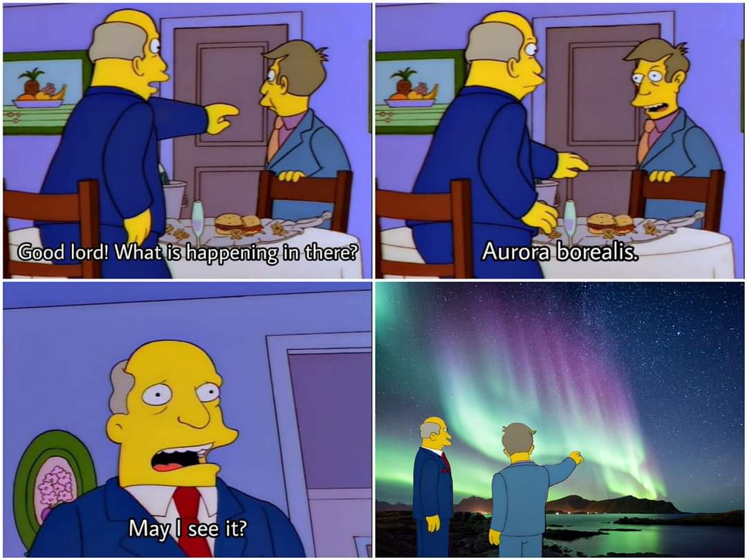 Fuck it, just gonna add all my steamed ham memes to this thread