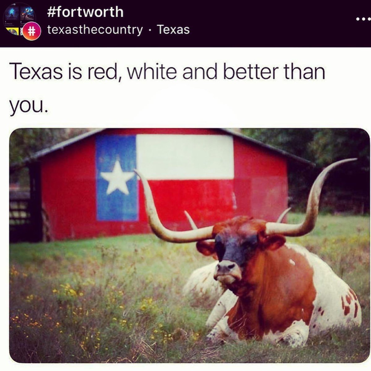 MosierSteff's tweet image. 