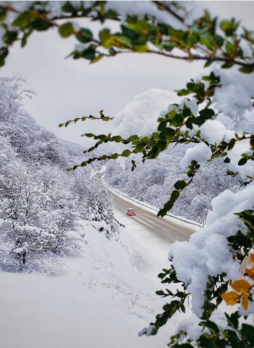 Mpat75132001's tweet photo. @LicTraviata @CalmateElvira Belleza 🙏 Divina !!!❄❄❄
Blanca, pura y limpia...
Comparto Lic.🤗🥂 https://t.co/T0rRqgvsr5