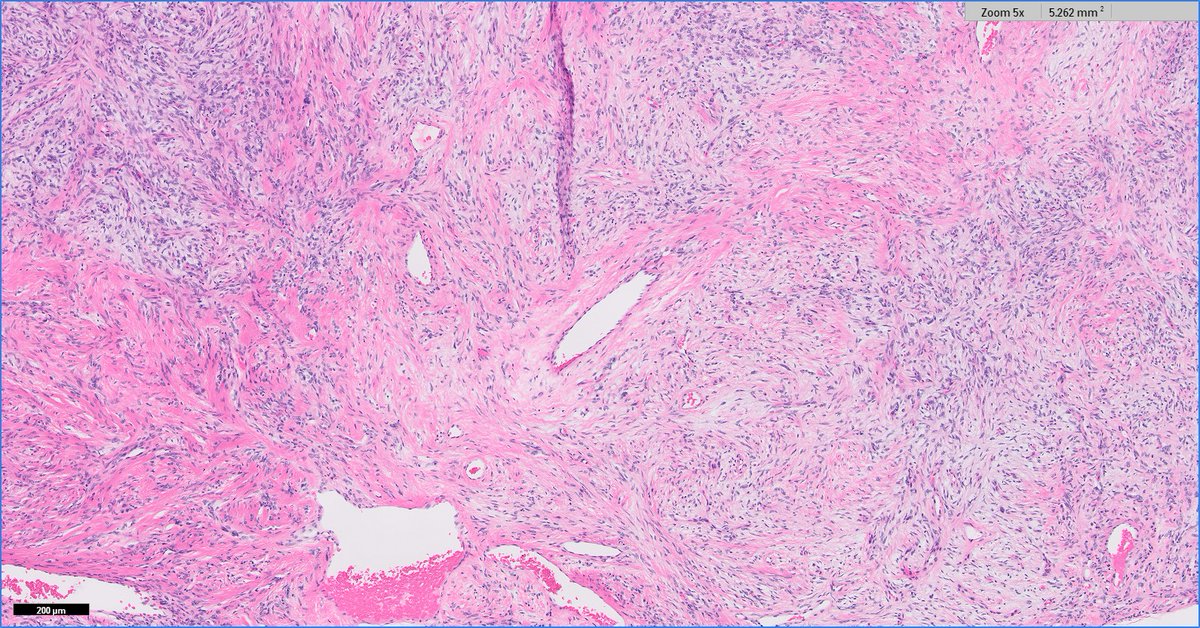 Daniel Skipper tweet media