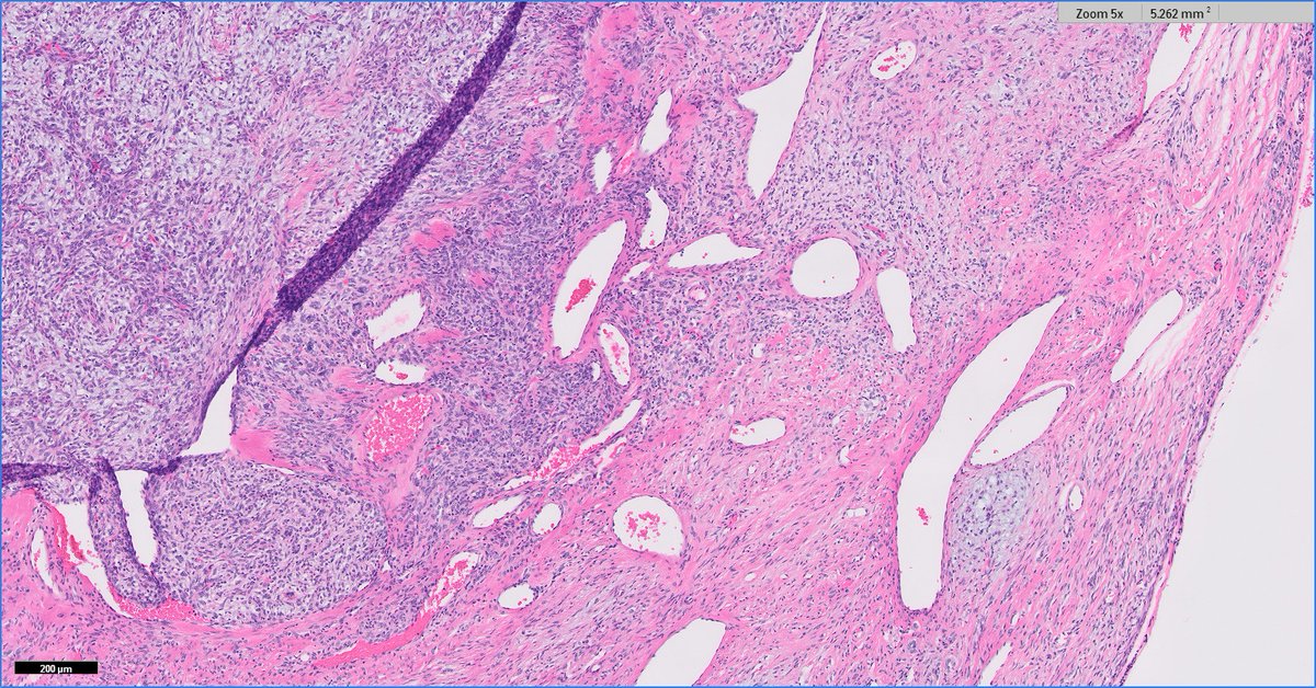 Daniel Skipper tweet media