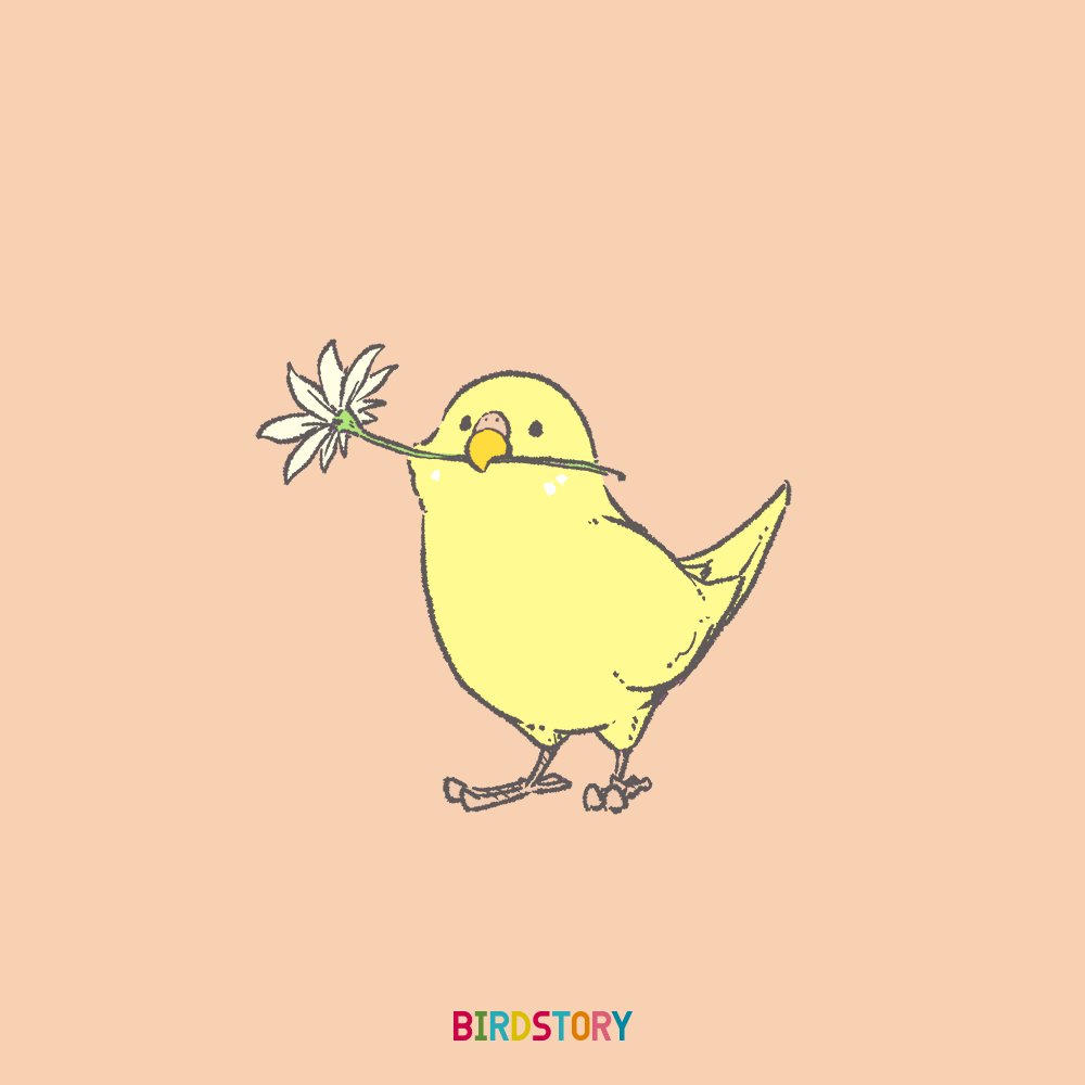 Birdstory おはようございます 本日は10月4日 世界動物の日と天使の日とのことです Birdstory 世界動物の日 天使の日 セキセイインコ T Co Buua3aecto Twitter