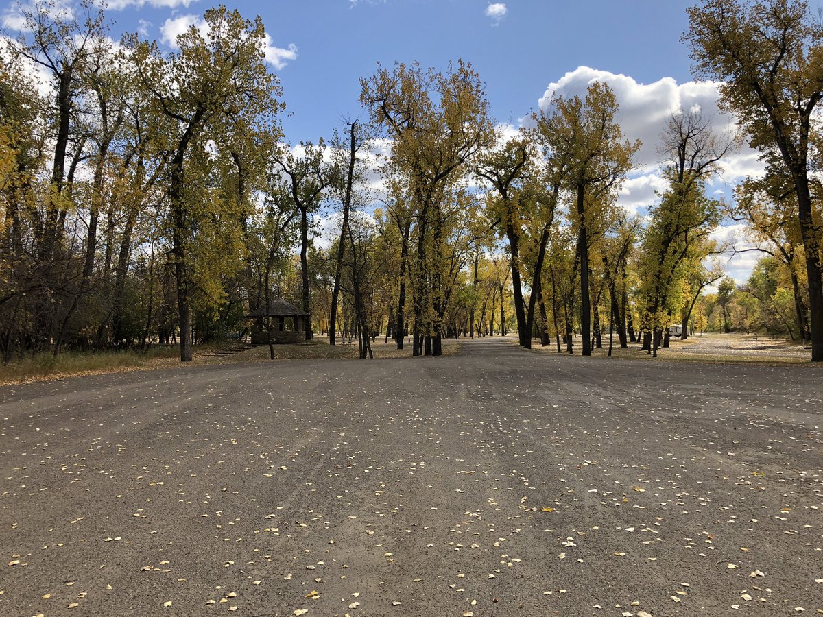 Fort Abraham Lincoln (@fortlincoln) on Twitter photo The best North Dakota Autumn 🍂 colors can still be enjoyed in Fort Abraham Lincoln State Park. 🌳 Especially in the campground ⛺️ Enjoy the first weekend in October!
#ndparks #ndstateparks #ndlegendary <a href="/NDparkrec/">ND Parks & Rec</a> <a href="/NorthDakota/">North Dakota Tourism</a> @madeinmandan The best North Dakota Autumn 🍂 colors can still be enjoyed in Fort Abraham Lincoln State Park. 🌳 Especially in the campground ⛺️ Enjoy the first weekend in October!
#ndparks #ndstateparks #ndlegendary <a href="/NDparkrec/">ND Parks & Rec</a> <a href="/NorthDakota/">North Dakota Tourism</a> @madeinmandan