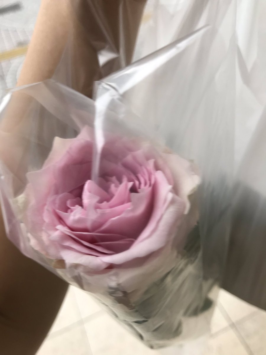 リメンブランス