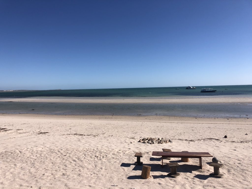 Amazing <a href="/DirkHartogIs/">Dirk Hartog Island</a> as we #wanderoutyonder in our own backyard on an island paradise...off the grid, well almost, just found some phone range on this stunning beach. Put DHI on your bucket list, rugged adventure in this pristine world heritage location