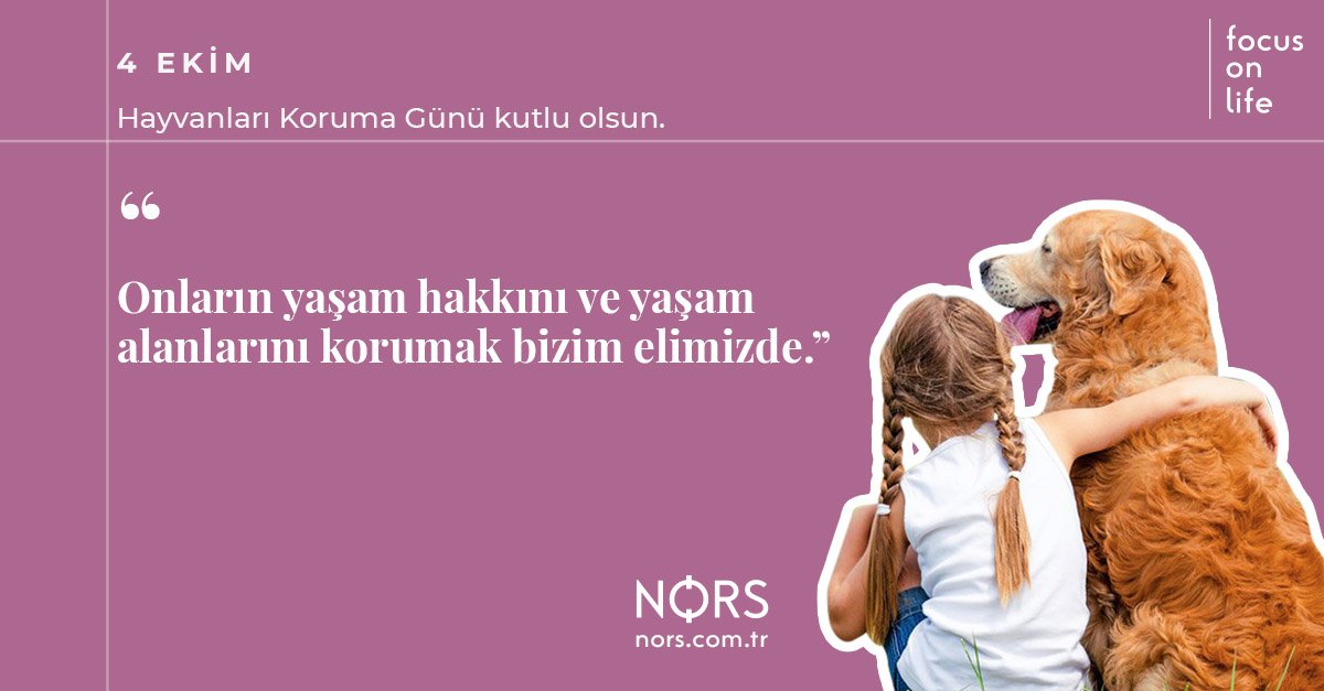 Onların yaşam hakkını ve yaşam alanlarını korumak bizim elimizde. 

4 Ekim Hayvanları Koruma Günü kutlu olsun. 

#4Ekim #pazar #HayvanlarıKorumaGunu