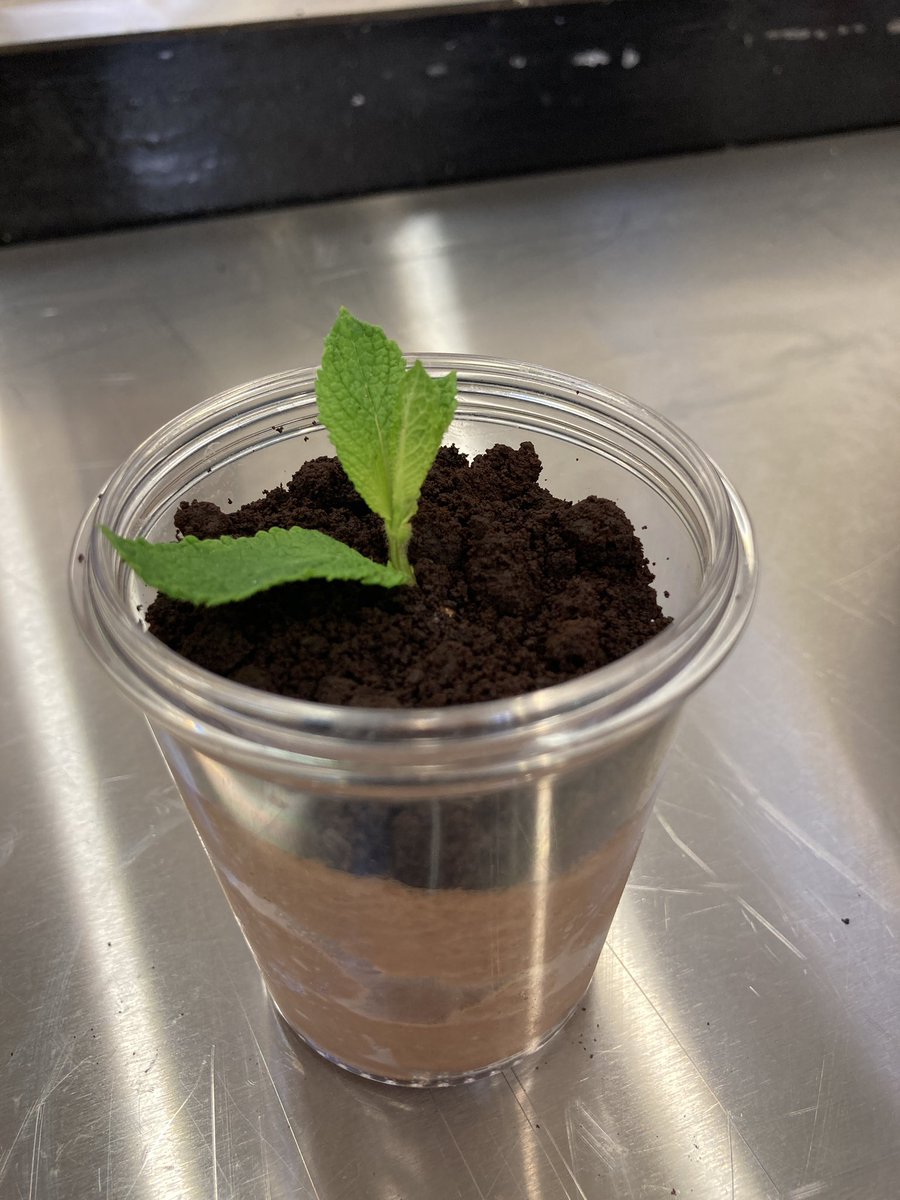 Andy Ridewood tweet media