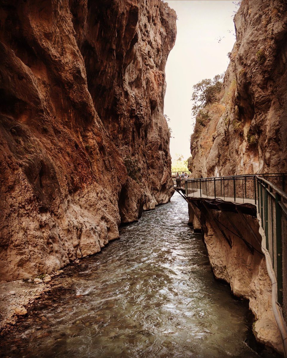 gulcnayvaz's tweet photo. #photooftheday #narurelphoto #allshots #vsco #instagram #instalike #canonphotography #canon #photographer #saklikentcanyon #summervibes #ig_worldclub #likeforlikes #earthpix #visualgallery #awrsomeglobe #gununkadraji #objektifimden #aniyakala #mugla #fethiye #saklıkentkanyonu https://t.co/Lrdck9O7G7