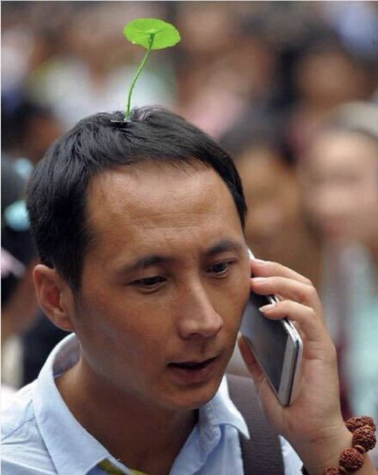 中国で流行ってるなら🇨🇳するだけよ。流行りに乗れてるかい？笑笑  また恥ずかしい事しよう。 https://t.co/jVgtF5937o