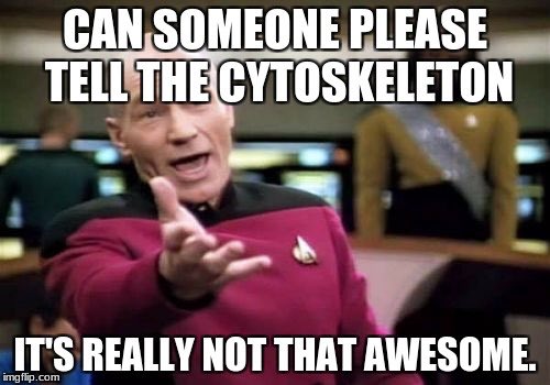 theepow3rhouse's tweet photo. @cytoskelegods https://t.co/3sS2hZxPB9