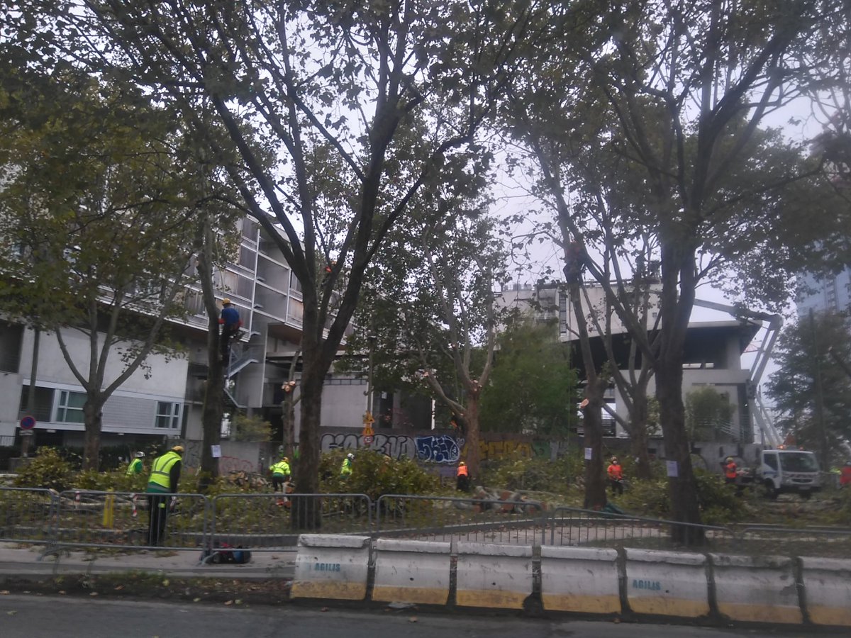 Compost13's tweet photo. 22 arbres en morceaux !
Merci qui ? https://t.co/uVo7eXqTbi