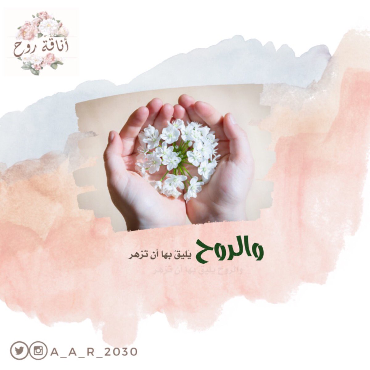 #اقتباسات_أناقة_روح
والروح يَليقُ بها أن تزهر ☘️🍃
 #أمسية_أناقة_روح