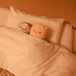 ツイートに含まれる画像