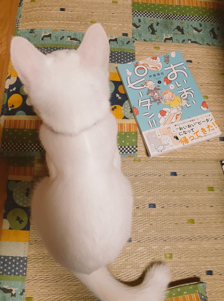 おいおいピータン