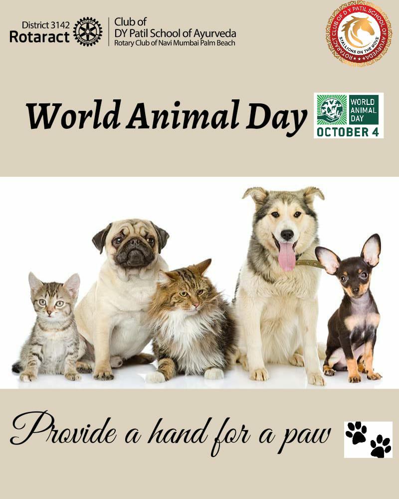 zone1theaces's tweet photo. World Animal Day is an international day of action for animal rights and welfare  is   celebrated annually on October 4.
The mission of World Animal Day is "to raise the status of animals in order to improve welfare standards around the globe".🦁🐶❤

#12Days12Celebrations https://t.co/BrRMW6F679
