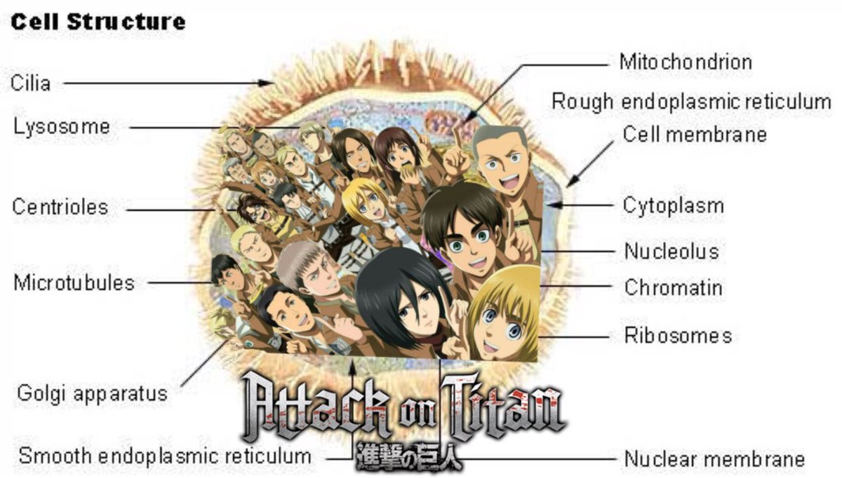 —— attack on titan characters as        cell parts ; a thread
