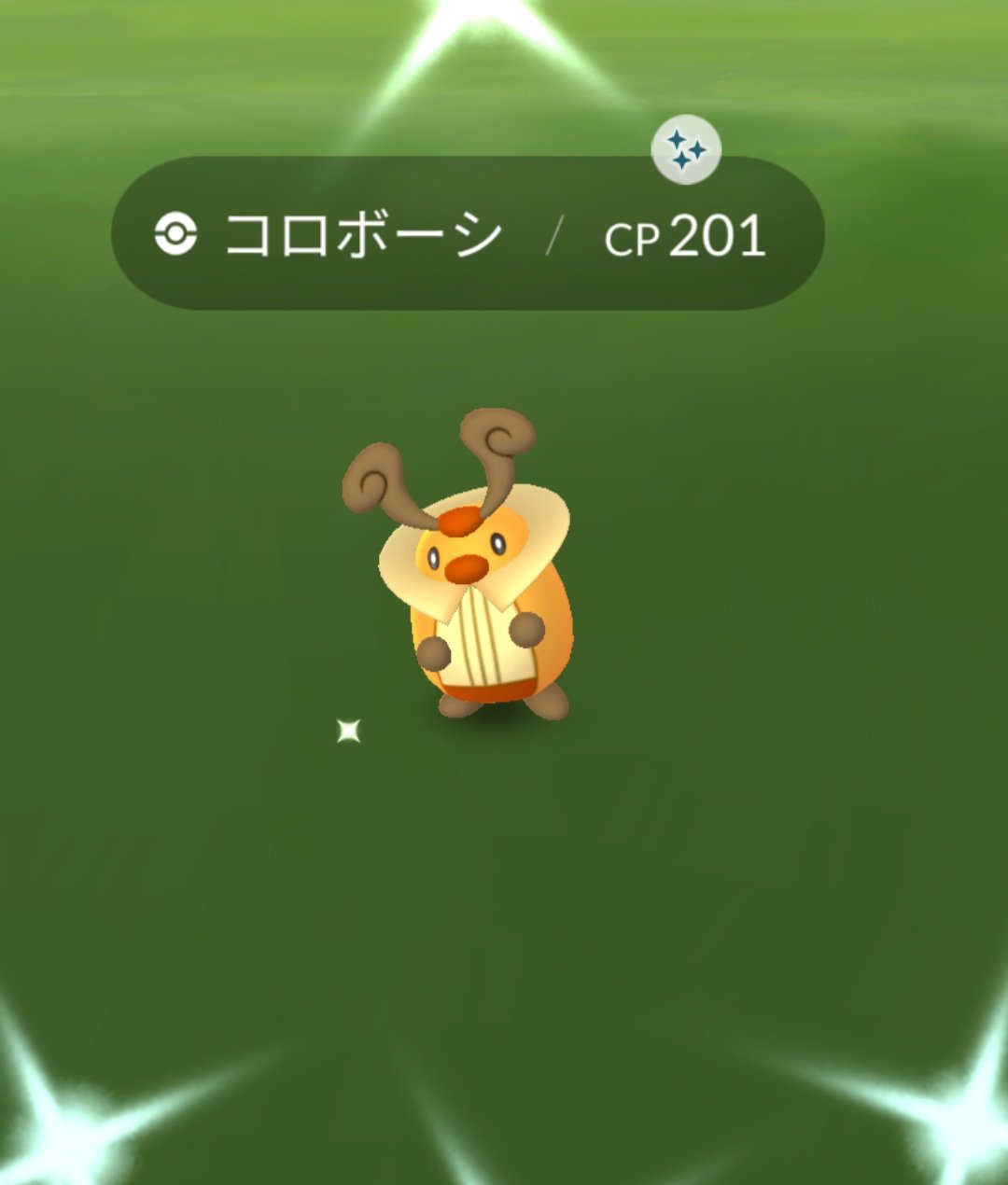 モンサポ 色違い コロボーシ ゲットだぜ 2日連続shiny コロトック に進化できました ノ ポケモンgo Pokemongo T Co Lpt2cxr7uy Twitter
