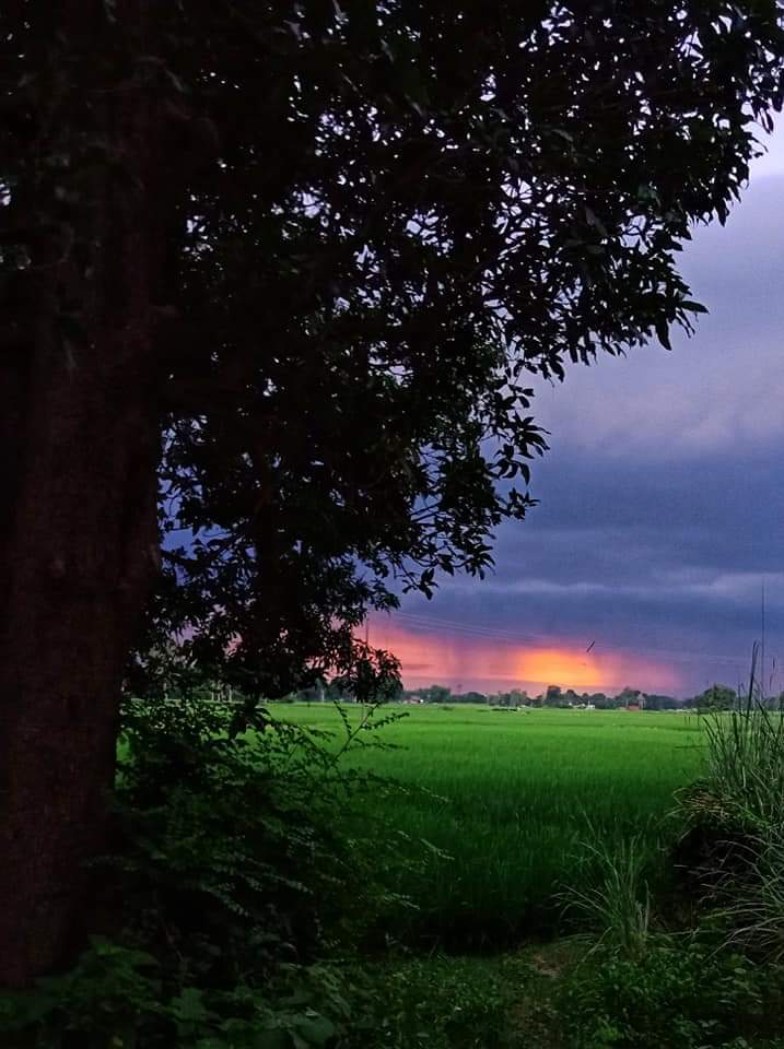 PM18mishra's tweet photo. #Uttarpradesh
#Sultanpur❤️UP
#Natural_beauty❤️😍
#Gaaon✨😊 https://t.co/TcwJ0sNsdq