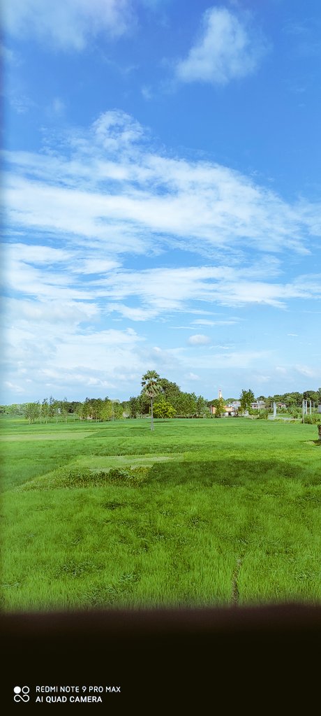 Sach He Boss (@sach_he) on Twitter photo 