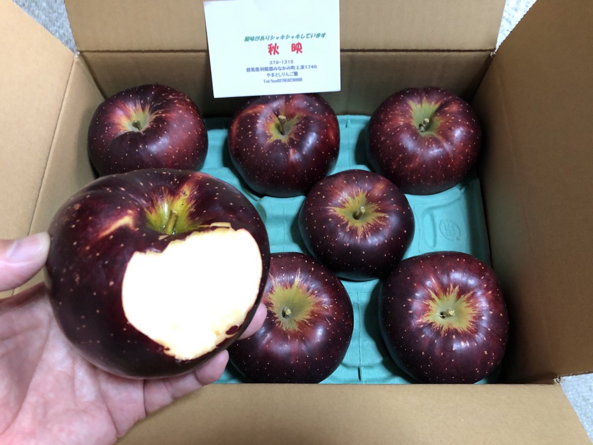 hide176176555's tweet photo. 秋映あきばえ🍎届いた😆ぐんまちゃんの箱に手書きメッセージ😊
そしてインパクトの有る色味😳
丸かじり!果汁たっぷりで美味しい🥰
#AvacusBazzar #AvacusFarm #ぐんまちゃん https://t.co/VX5r4elDqd