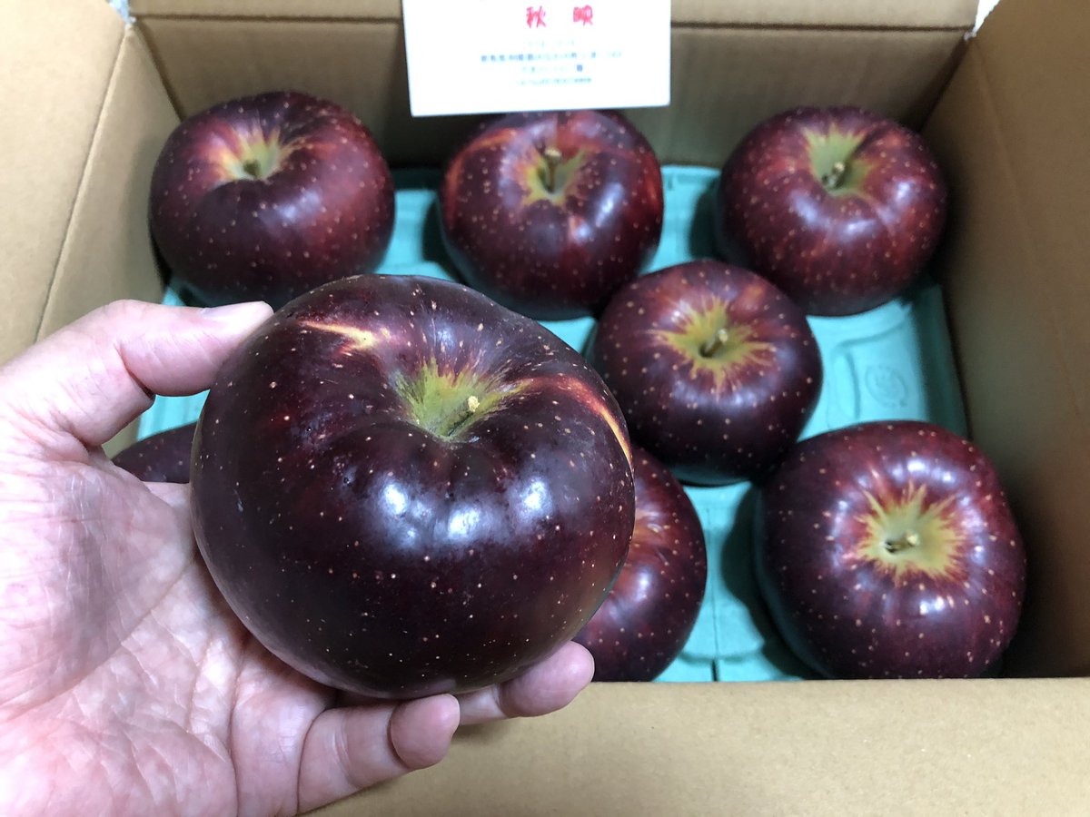 hide176176555's tweet photo. 秋映あきばえ🍎届いた😆ぐんまちゃんの箱に手書きメッセージ😊
そしてインパクトの有る色味😳
丸かじり!果汁たっぷりで美味しい🥰
#AvacusBazzar #AvacusFarm #ぐんまちゃん https://t.co/VX5r4elDqd