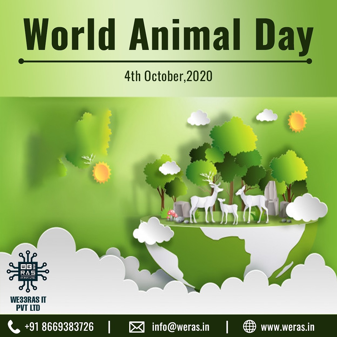 we33ras's tweet photo. #love #of #nature #cat #world #animals #instagram #catsofinstagram #birds #dogstagram #photooftheday #catlife #catstagram #petstagram #petsofinstagram #animallovers #adoptdontshop #saveanimal #loveanimals #babyanimals #bekindtoanimals #day #meow #kitten #supercute #supermodel https://t.co/2BujHZAoZQ