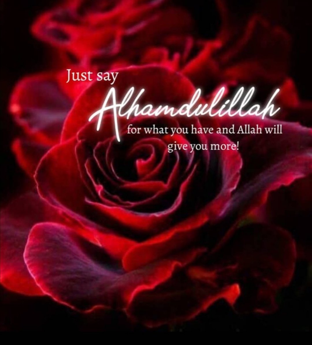 Fahad3312's tweet photo. Allah says: “If you’re grateful I’ll give you more”, Quran 14 : v7! So say Alhamdulilah for what you have and Allah will give you more.

Isn’t this amazing 😇♥️?

#KnowIslam
#TurnToTheCreator
#SundayMorning
#SundayMotivation https://t.co/zcZ45fLqvc