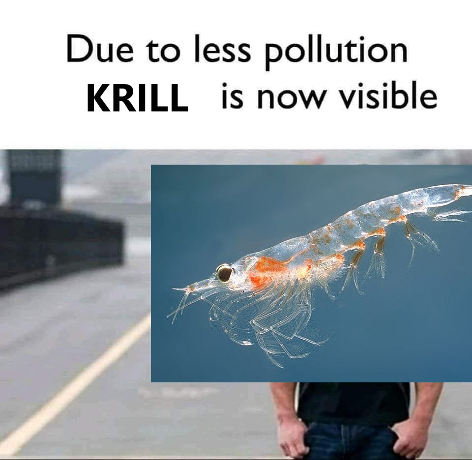 Hermitcrabs Blarge League (@hermitblaseball) on Twitter photo 