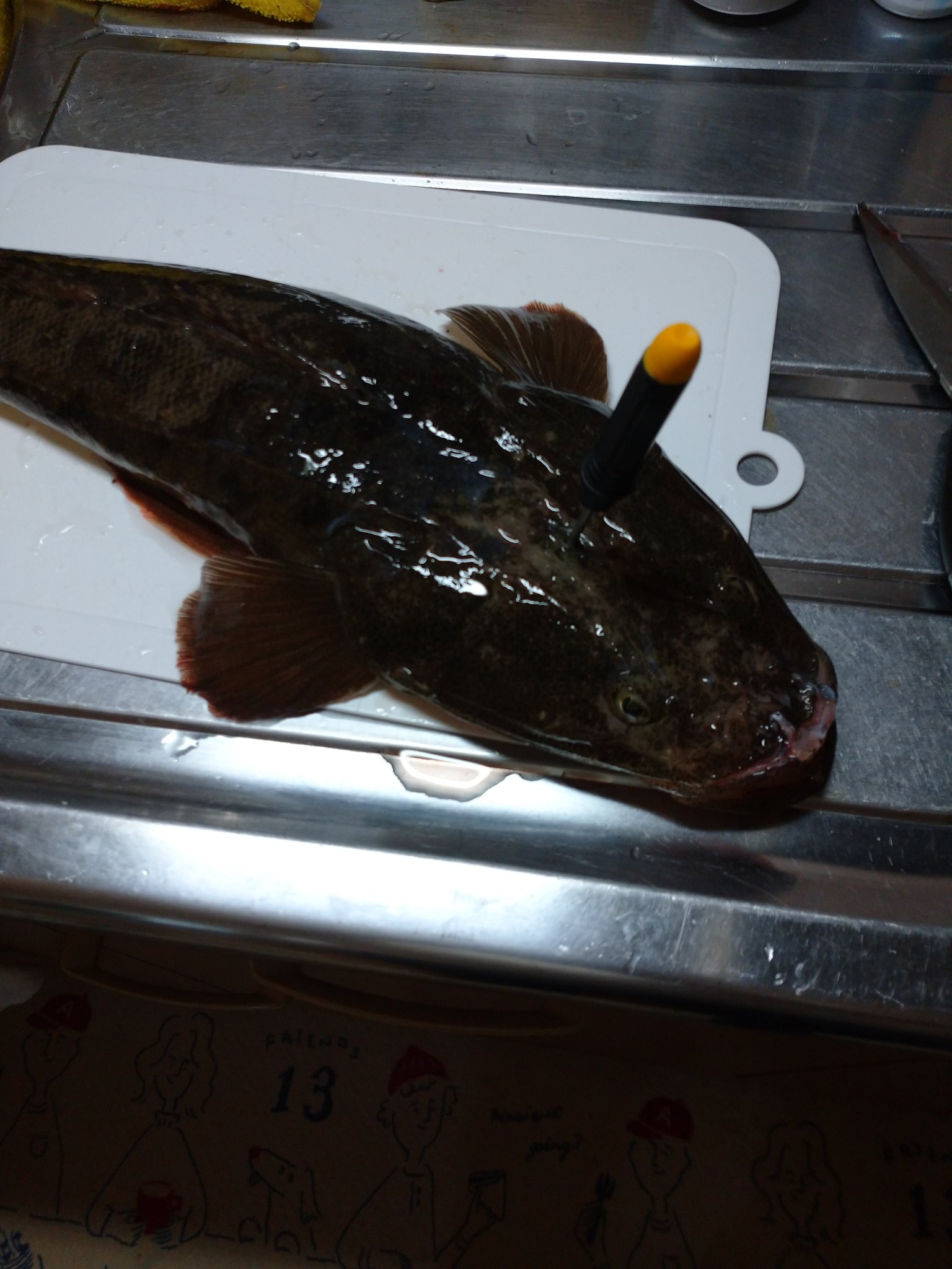釣りのドザえもん 昨日の夜釣果 ハタ狙ってマゴチゲット 締め方良くわからずググって急所判明 グリグリしたら Kjカーリーのイワシカラーでマゴチ3匹目 実績ありすぎ マゴチ Kjカーリー T Co 56owfacuu7 Twitter