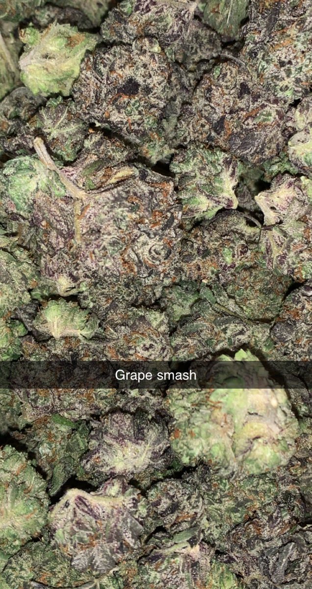 SMcpot508's tweet photo. @Ryan5150_ you say something about purple? #grapesmash #firefireonly #piff #stoned https://t.co/zOdXKAn867