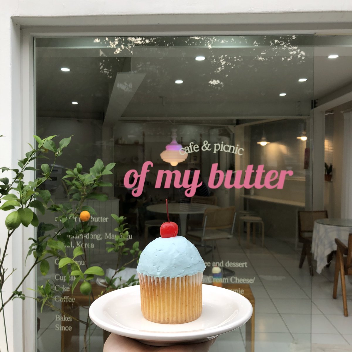 눈나들 꽁지 오랜만이지?!🌀🌀
(해가 안 들어서 ㅠㅠㅠ사진이 영 ㅠㅠ)