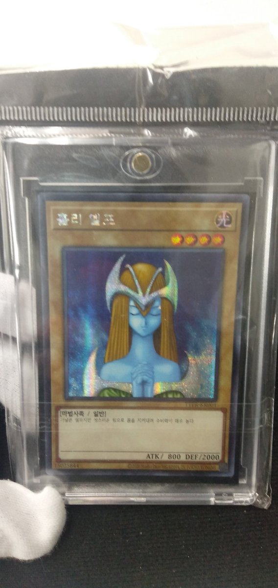 超貴重品入荷しました!! 世界で100枚。 【ホーリーエルフ】 韓国語