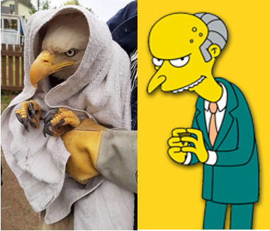 Rick Brody tweet media