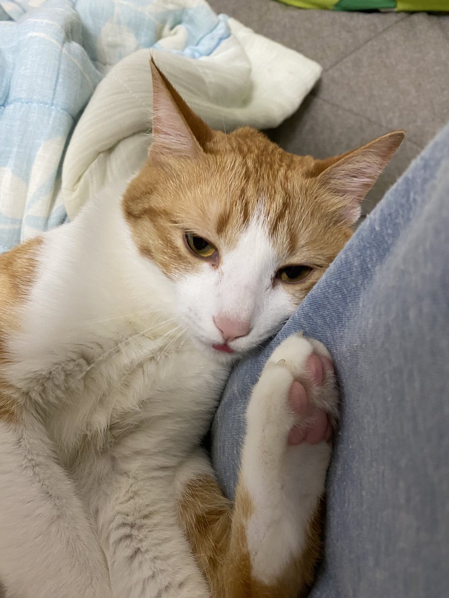 重い Twitter Search