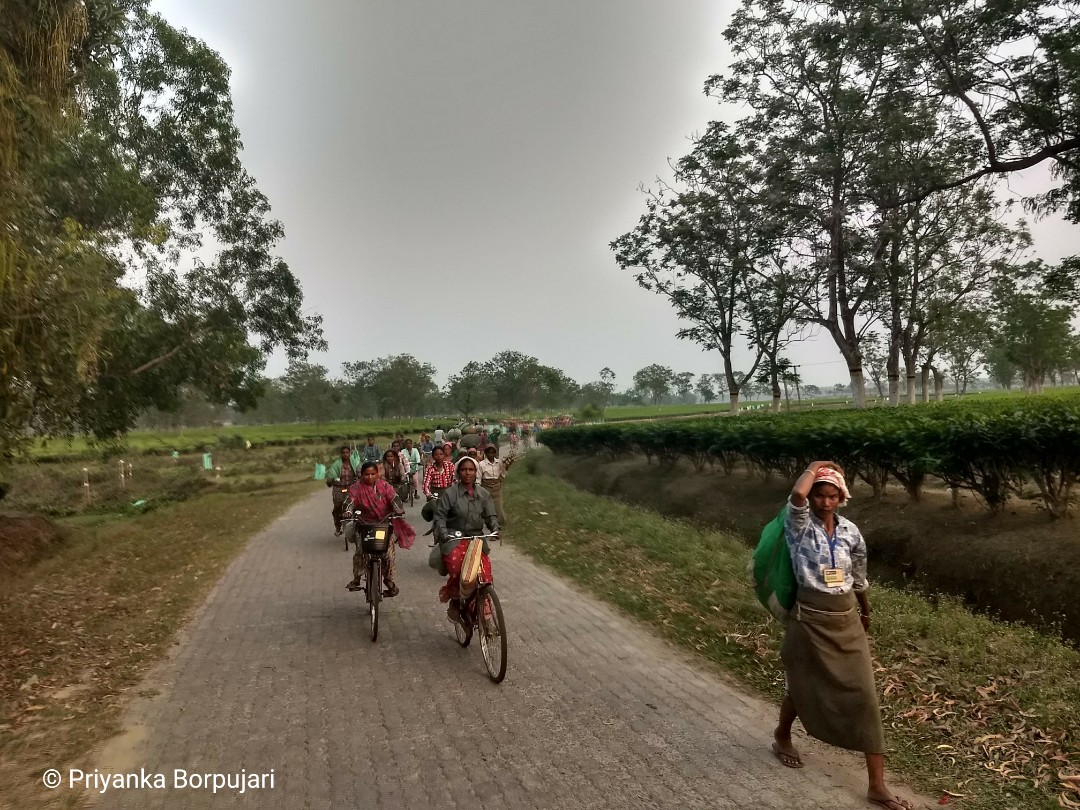 Give us this dayOur daily cup of caffeine + stimulant(Our daily wage that's a livable oneOur daily dignity at par with men)Dalowabari Tea Estate, Assam.Thinking of all women whose toil is assumed to be part of their anatomy, during This Pandemic & in 2019 while on  #EdenWalk