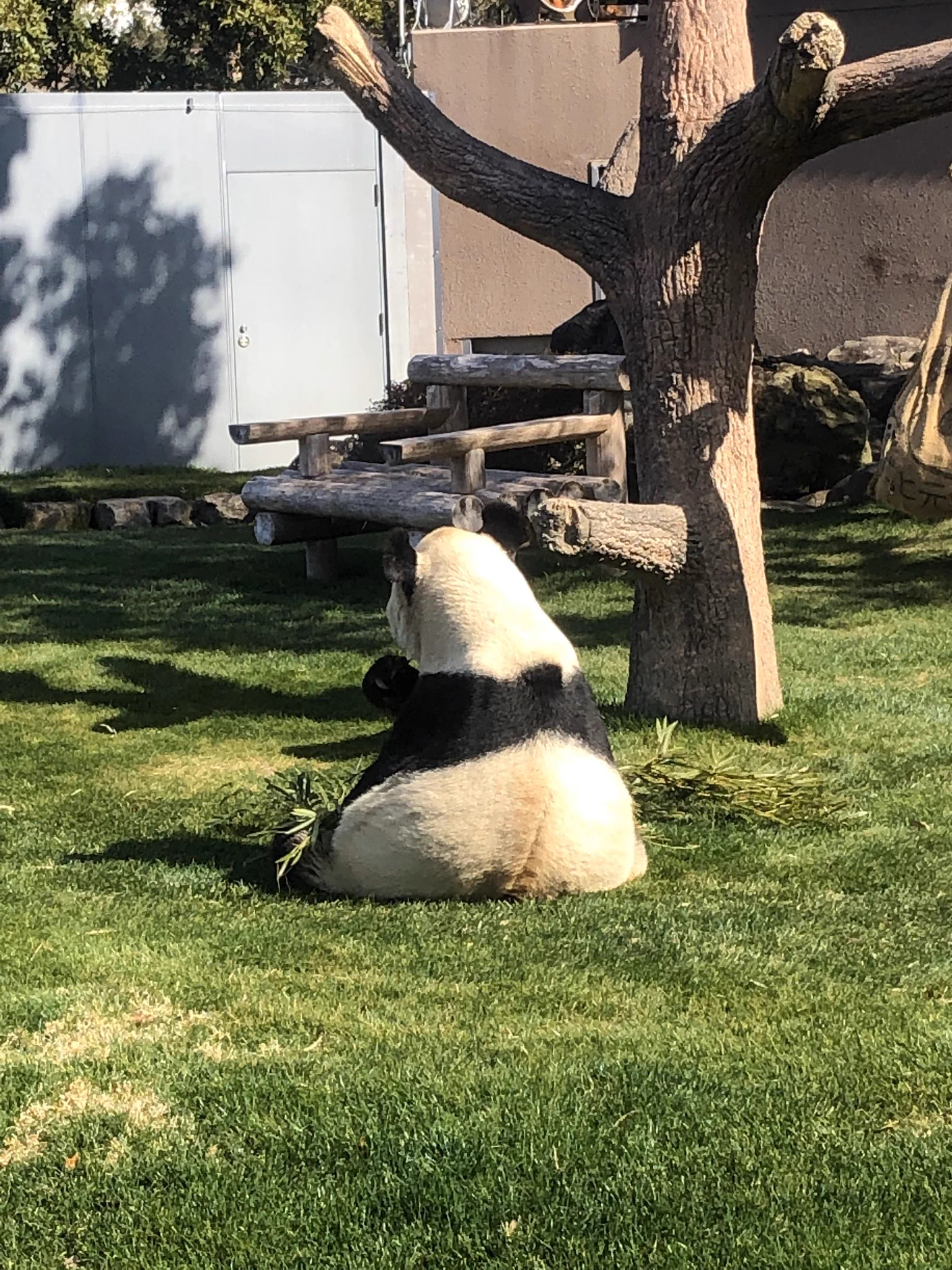@higashiyama5555 動物たちが見せる背中っていいですよね。 