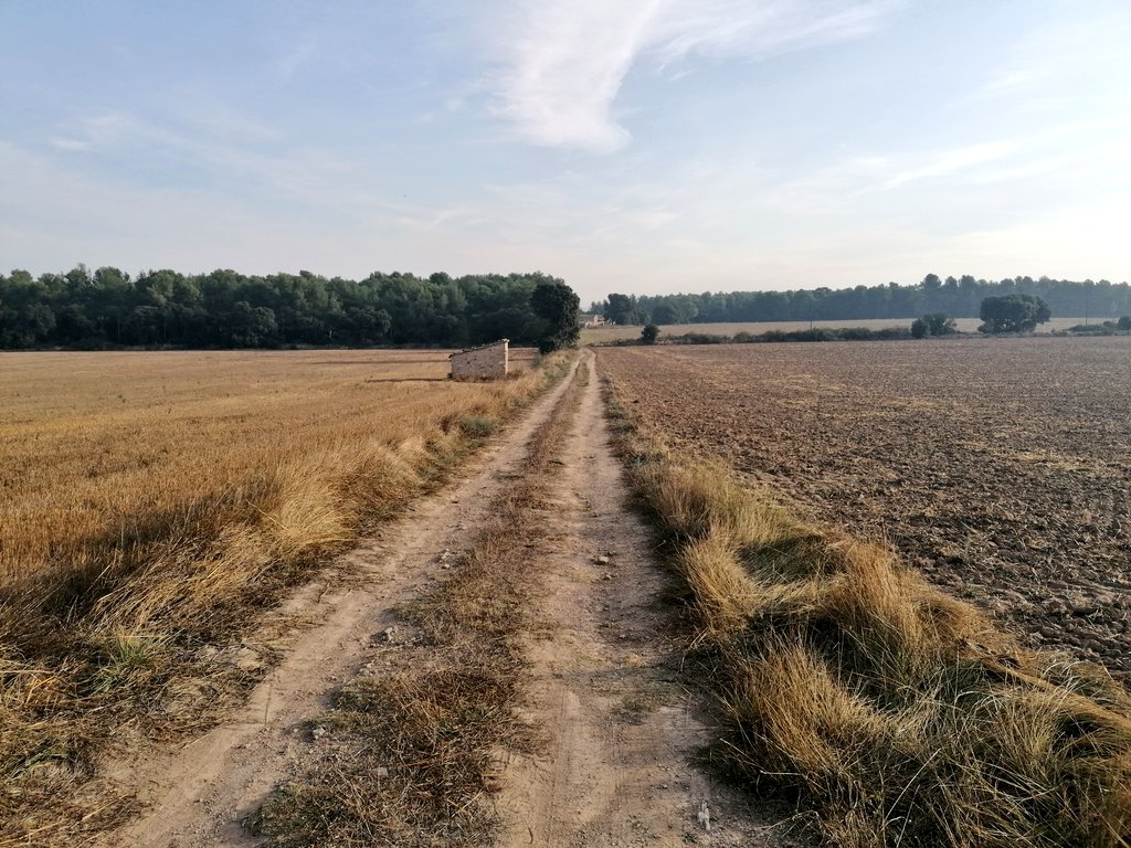 repoblem's tweet photo. Sovint, per viure al món rural has d'estar disposat a casar-te amb el 🚙. Comprar, treballar, dur els fills a l'escola... En només una setmana: centenars de kms al volant.

Però la recompensa sempre arriba en aquell moment en què aparques el 🚙, i gaudeixes d'un passeig a peu. https://t.co/ZdevpvQUdo