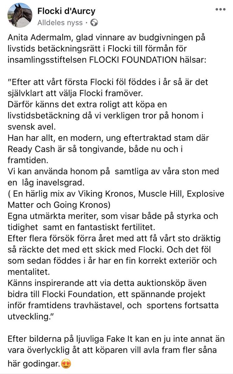 AurcyD's tweet photo. Tack för köpet av en livstids betäckningsrätt till förmån för FLOCKI FOUNDATION, Anita Adermalm!🤗 https://t.co/tpRcHfvJp9