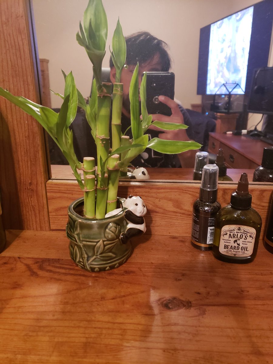 night_44__'s tweet photo. Freshly watered https://t.co/5dulz1WzjF
