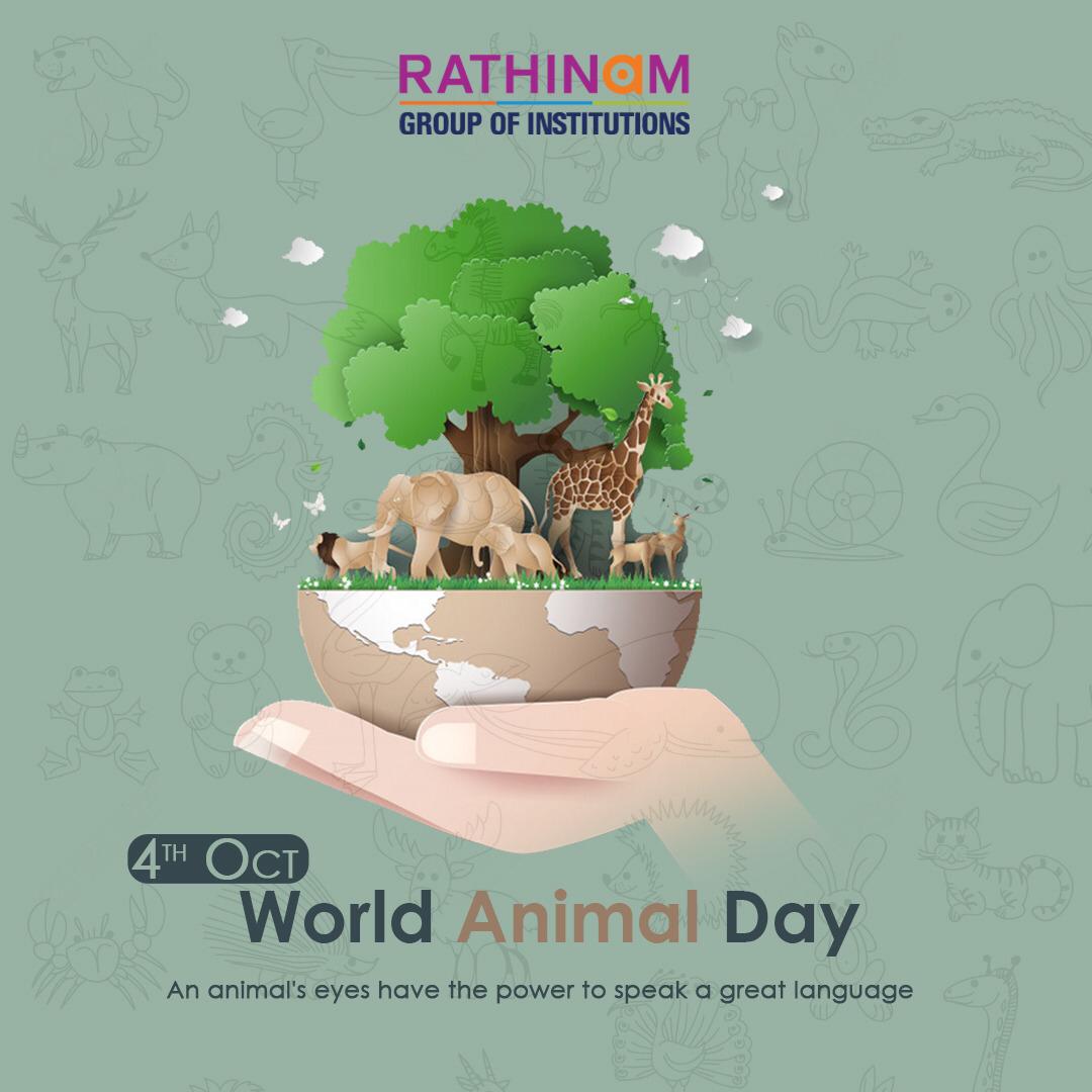  #DaySpecial  #October4  #WorldAnimalDay "The greatness of a nation and its moral progress can be judged by the way its animals are treated." ― Mahatma Gandhi @pfaindia  @animals_popular  @MeetAnimals  @strangeanimals