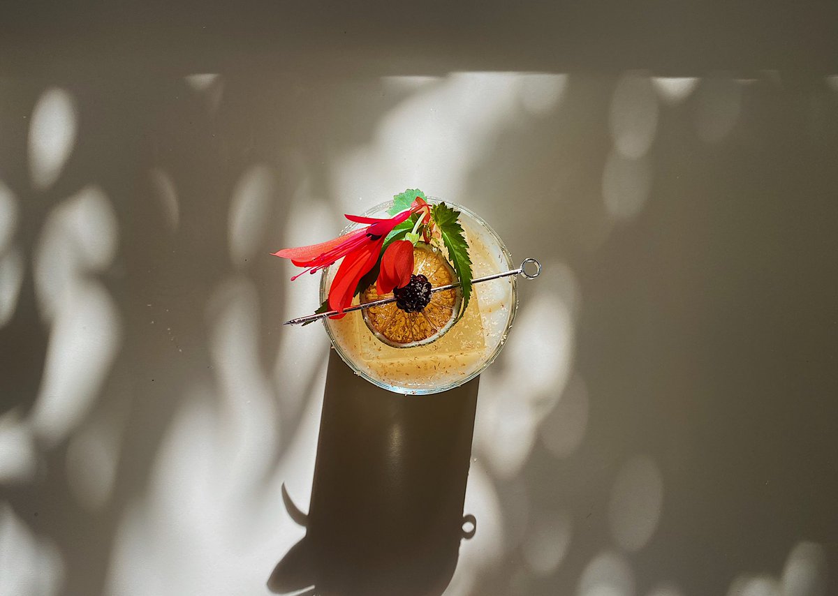 WillowsInn's tweet image. Scenes from another week of #willowsinnprojects!