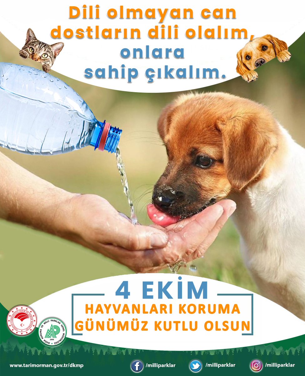 milliparklar's tweet photo. 4 EKİM DÜNYA HAYVANLARI KORUMA GÜNÜ KUTLU OLSUN...

#4Ekim #HayvanlarıKorumaGünü #sokakhayvanları https://t.co/wxJwMjRlAA