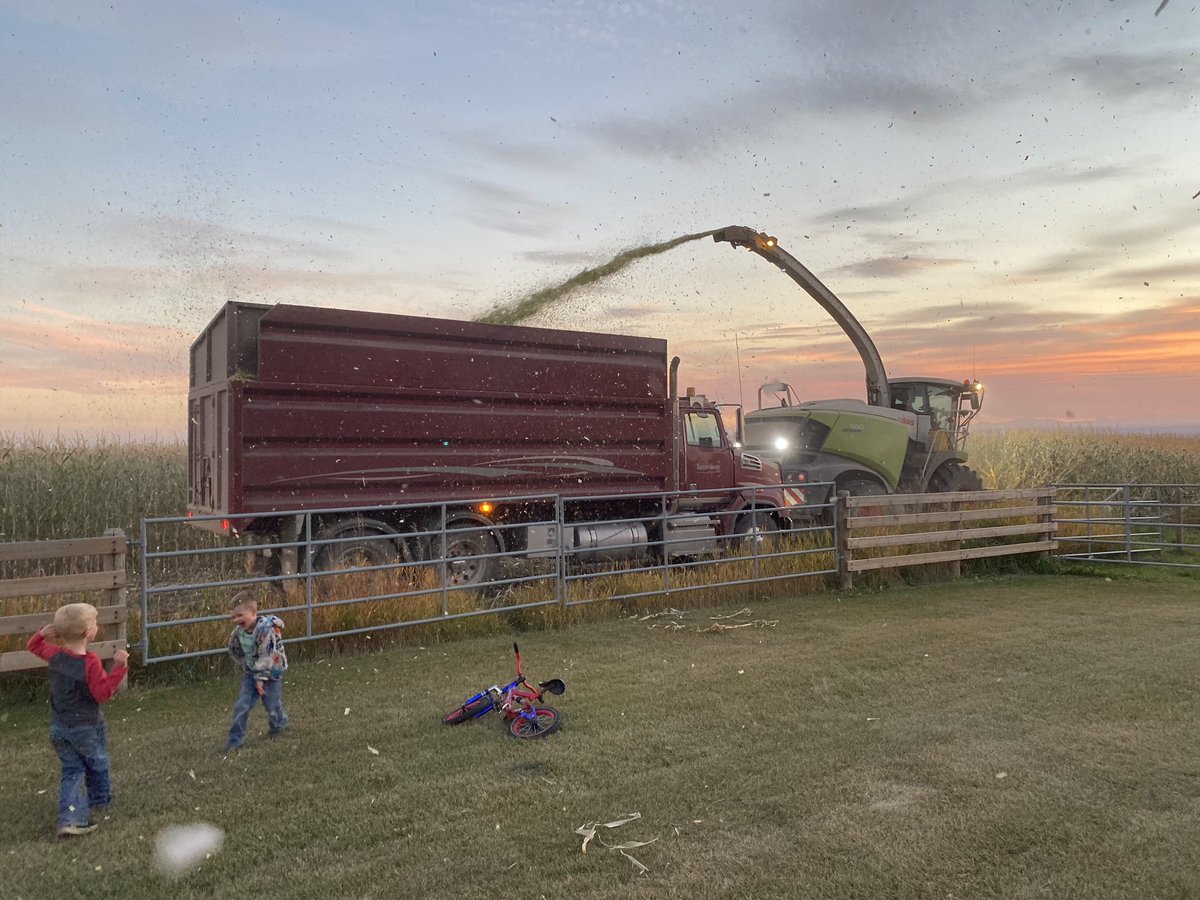 Looks like the next gen is eager to take over. #borntobefarmer