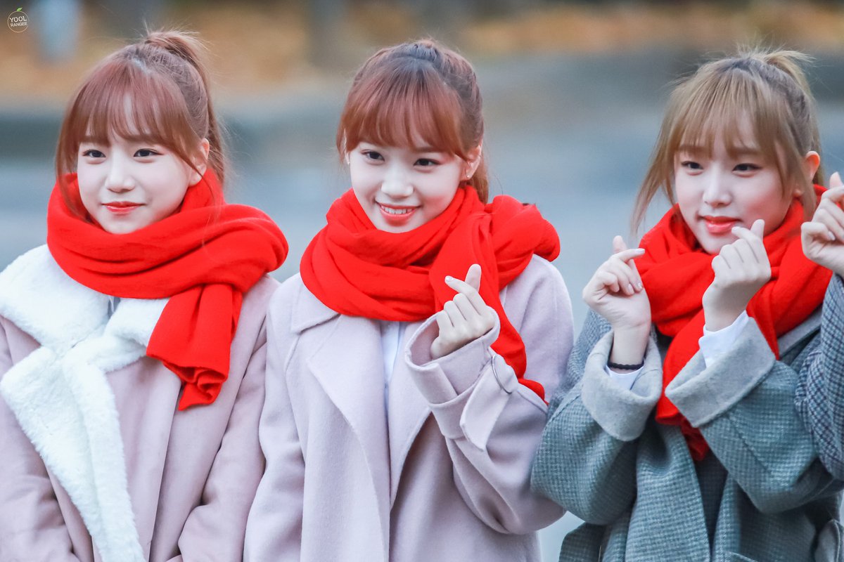 KimChaeWon21's tweet photo. 181102 KBS2 뮤직뱅크 출근길
#아이즈원 #IZONE #アイズワン
#🐰🐱🐹🐣🐶🧚🏻‍♀️👑❤🍑💚🐸🕊 https://t.co/98U2KRnP4P
