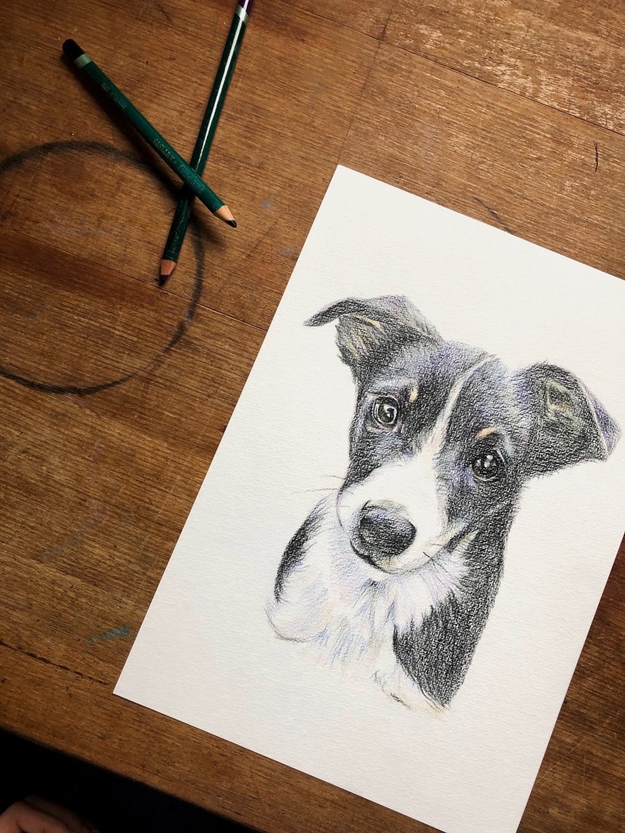 amelia_lugg's tweet photo. 😍
.
.
.
#illustration #art #portrait #pet #animals #design #drawing #sketch https://t.co/vNVCWQZipi