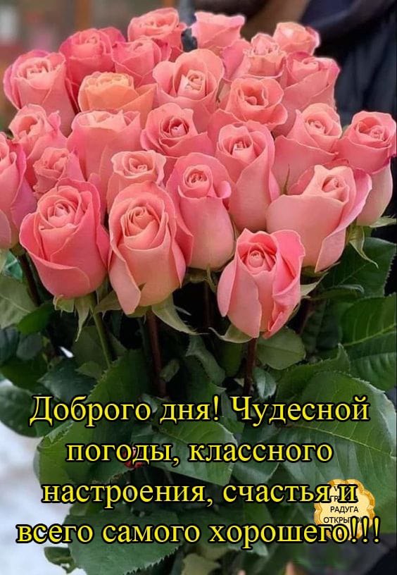 Olgatwinss's tweet photo. @Natalia31169828 Доброе утро,Наталья!Скорейшего выздоровления!! https://t.co/UMXy8fhJPI