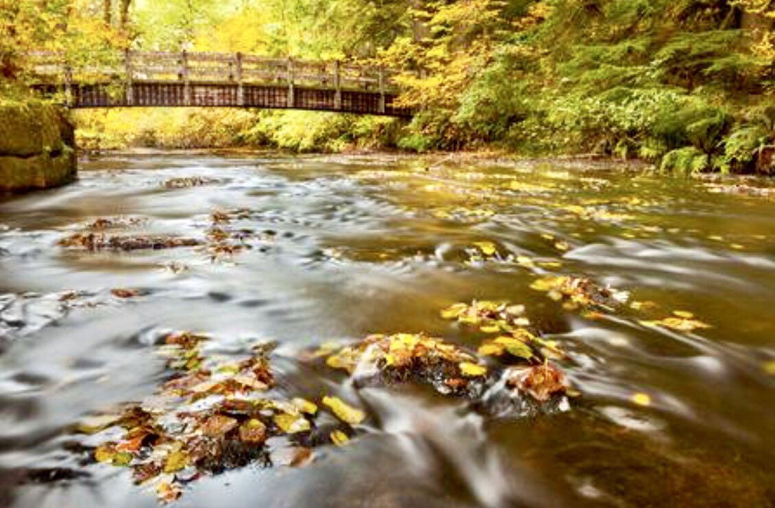 A_AMilne's tweet image. “Perhaps I might go down to the river to see what was happening... Exciting! The river which usually ran, brown and peaceful, between high banks, was now only a few feet from the top, and fairly swirling and frothing and bubbling and seething and roaring along.” ~C.R.Milne #rain